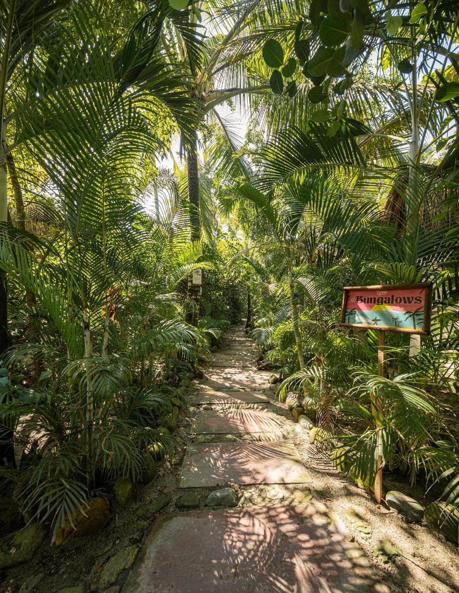 Costeno Beach Hotel Santa Marta  Kültér fotó